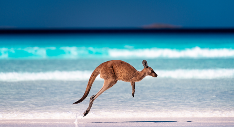 Australia’s coastline is a cultural icon
