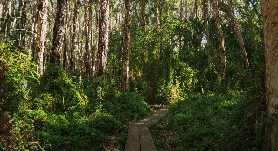 Paperbark Trail, perfect for a quick and easy stroll