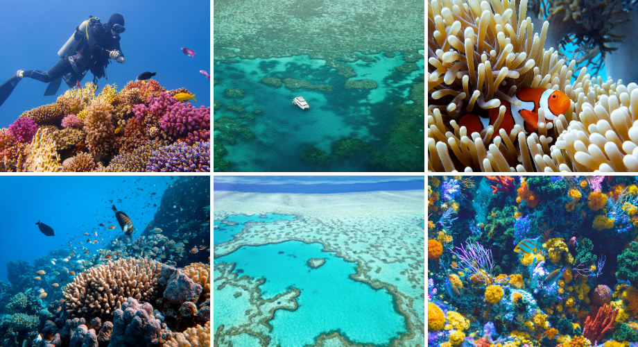 World’s Largest Coral Reef System in Australia