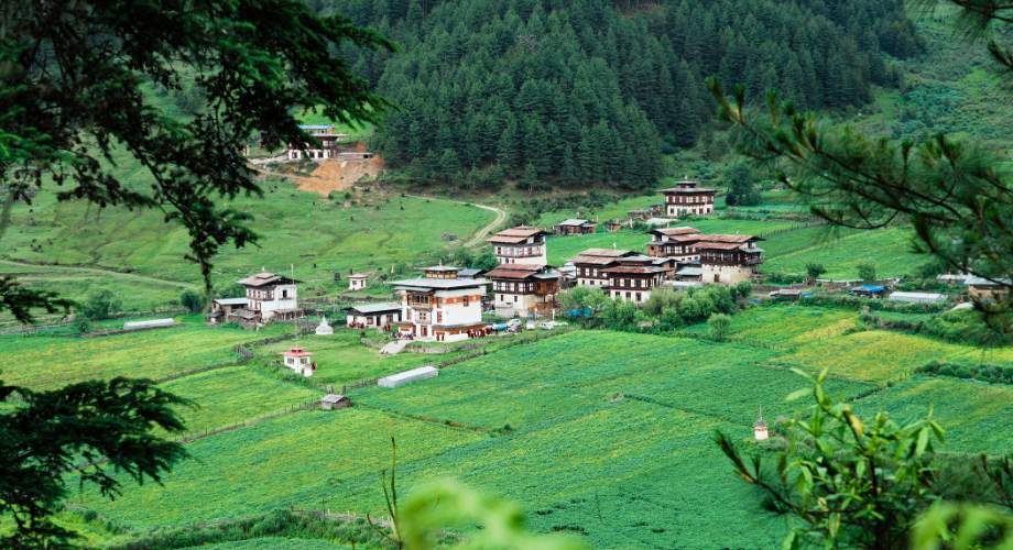 Phobjikha Valley, Bhutan
