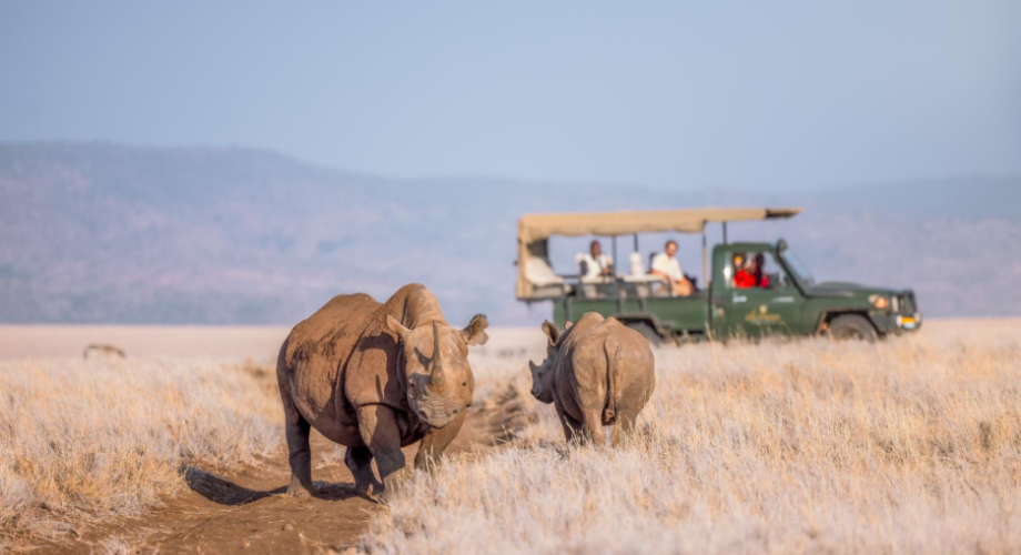 Elewana Rhino Safari Adventure