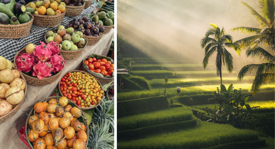 Food and places to eat in Ubud