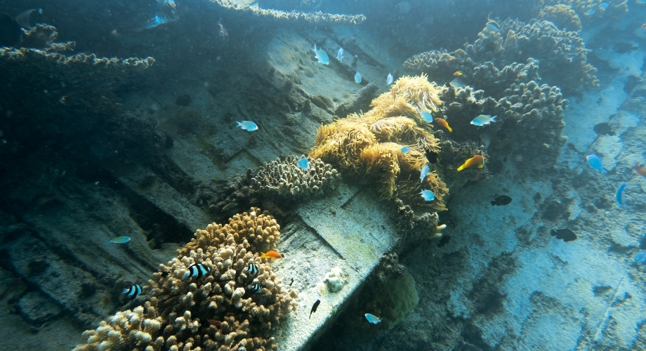 Kudhimaa Wreck lying very close to the Machafushi house reef